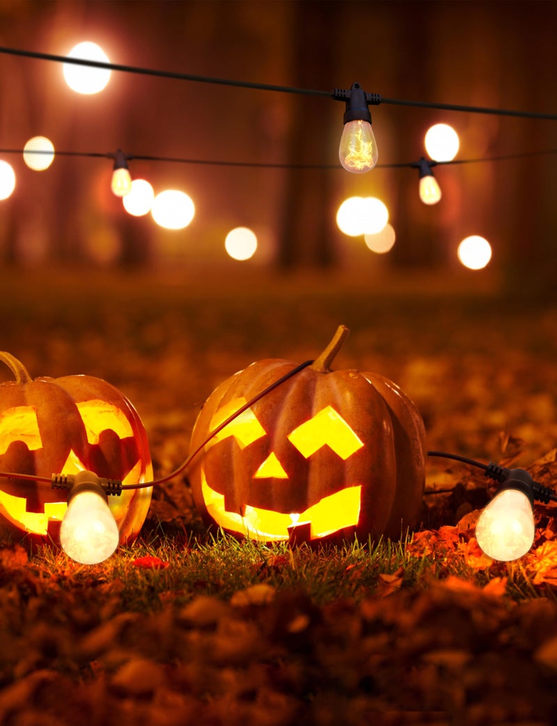 Brightech Ambience Pro Solar Powered LED Outdoor String Lights - 27 Ft Commercial Waterproof Patio Lights with Flaming, Flickering Bulbs - Shatterproof String Lights for Your Halloween, Porch, Deck - Image 4